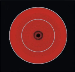 AEG EX10E Einbauherd Multifunktionsbackofen Bräter Heißluft Zweikreiszone EEK: A -Bosch Verkäufe a209157e67e407355f234916cf3f6afd